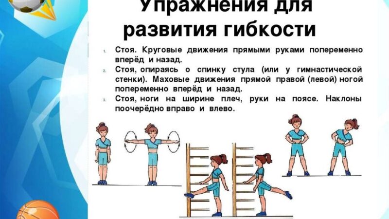 Совет ГТО. Упражнения для развития гибкости.
