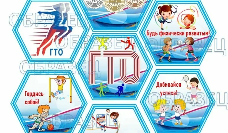 ГТО — территория здоровья и спорта