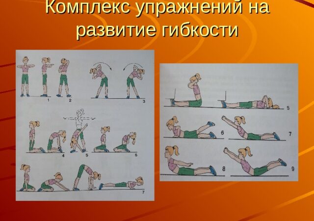 Развитие гибкости – важный шаг к успешной сдаче нормативов ГТО