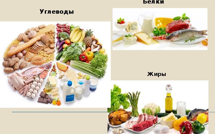 Советы ГТО. Что есть осенью, чтобы получить энергию
