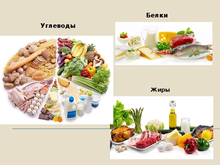 Советы ГТО. Что есть осенью, чтобы получить энергию
